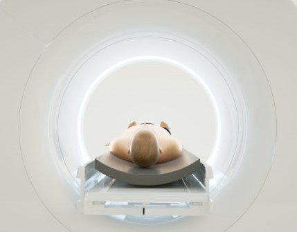 mri icon